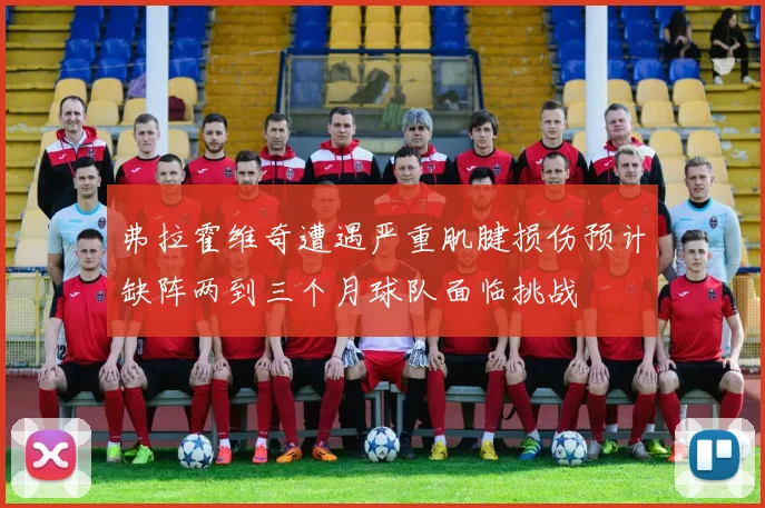 弗拉霍维奇遭遇严重肌腱损伤预计缺阵两到三个月球队面临挑战