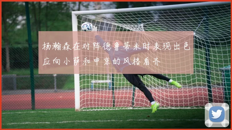 杨瀚森在对阵德鲁蒂米时表现出色应向小萨和申京的风格看齐