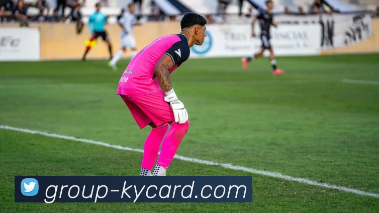 开云棋牌官网服务体系